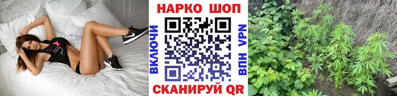 Наркошоп купить Гашиш  КОКАИН  Псилоцибиновые грибы  Канабис  Меф мяу мяу  Альфа ПВП  Зеленоградск