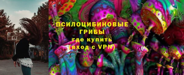гашик Заволжск