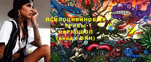 гашик Заволжск